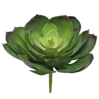 5 In. Large Artificial Echeveria Lotus Succulent – Realistic Faux Plant for Home, Office &amp; Terrarium