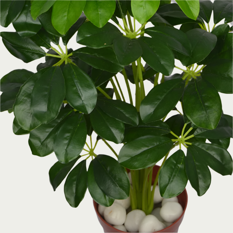 Indoor ambiance created with 2 Ft Baby Shikka Shefflora Plant Realistic Nature-Inspired Shrub – Chic Artificial Plant to Elevate Any Space – Shop Luxiplant – elegant and lush.