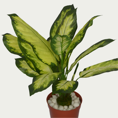 2 Ft Artificial Dieffenbachia Bush 18 – Faux Green Plant placed in a stylish planter