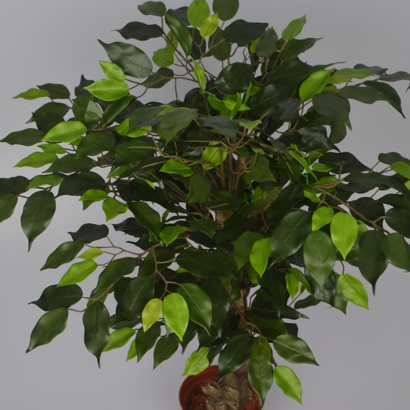 2 Ft Artificial Ficus Plant – Compact Faux Greenery with Realistic Leaves for Indoor Home, Office &amp; Shelf Décor