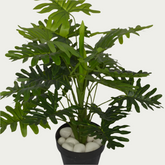 2 Ft Philodendron Bush Vibrant Faux Desk Foliage – Realistic Touch for Modern Interiors – Shop Luxiplant arranged aesthetically, adding a tropical flair to any room.