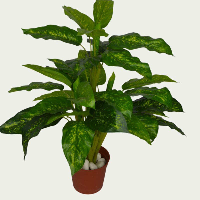 2 Ft Artificial Green Dieffenbachia – Faux Green Plant placed in a stylish planter