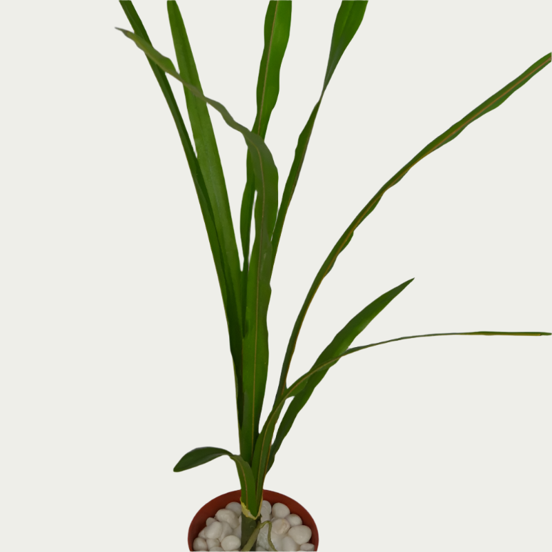 Indoor ambiance created with 3 Ft Snake Plant Elegant Synthetic Home Plant – Chic Artificial Plant to Elevate Any Space – Shop Luxiplant – elegant and lush.