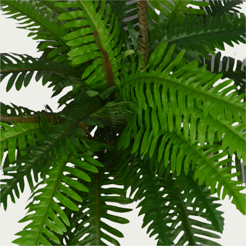 Zoomed-in look at the 2 Ft Boston Fern Indoor Tropical Accent Plant – Realistic Touch for Modern Interiors – Shop Luxiplant, showcasing detailed craftsmanship.