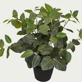 Decorative shot highlighting the unique design of 2 Ft Fittonia Bush Realistic Nature-Inspired Shrub – Elegant Faux Greenery for Any Setting – Shop Luxiplant.
