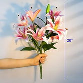 Bouquet of pink and white lilies held by a hand with a measurement label indicating 20 inches.