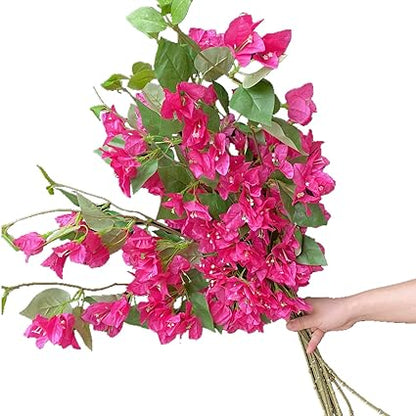 Bouquet of pink flowers held by a hand on a white background
