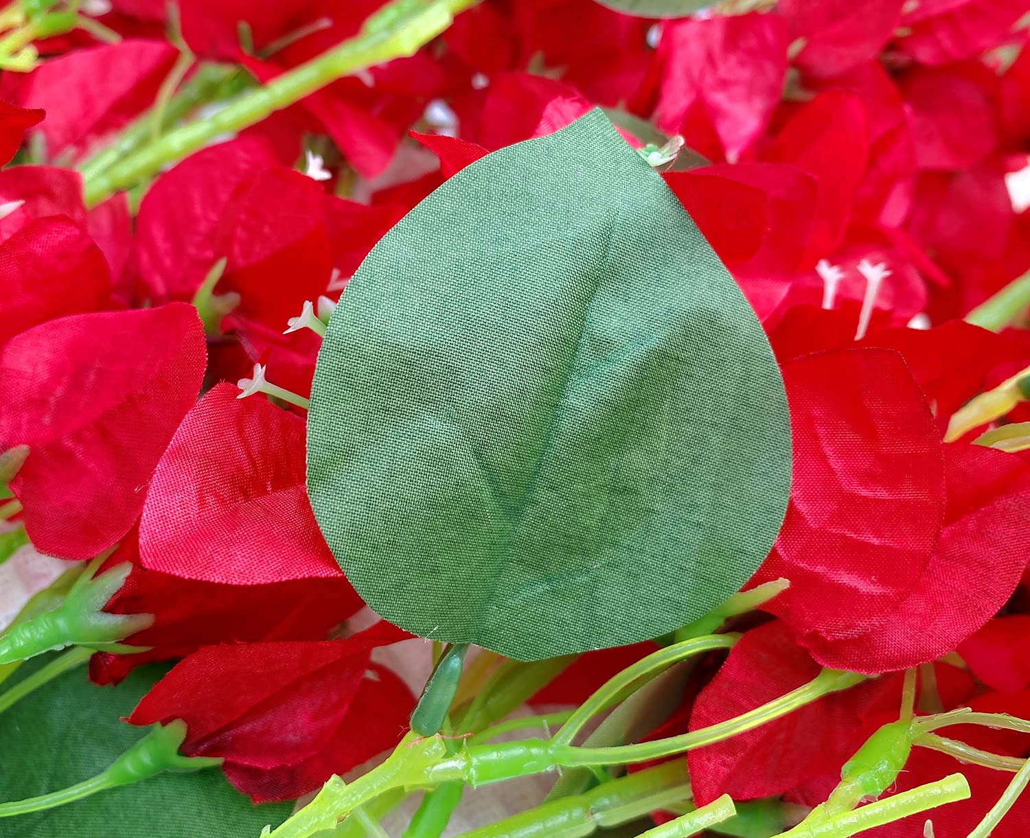 Close-up of red flowers with green leaves against a red floral background