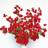 Bouquet of red flowers with green leaves on a white background