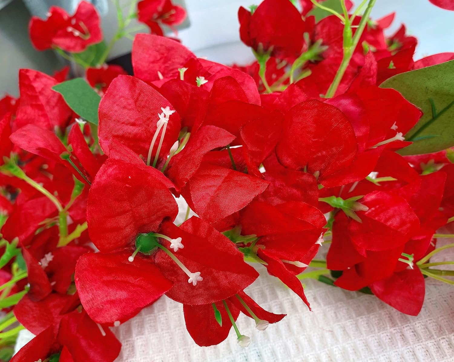 Bouquet of red flowers with green leaves on a light background