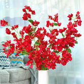 Bougainvillea plant in a pot on a table with a light blue curtain background