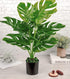 2 Ft Artificial Palm Tree in Pot – Large Fake Plant for Indoor & Outdoor Spaces – perfect for modern home decor