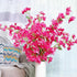 Bougainvillea plant in a pot on a sofa with a colorful pillow