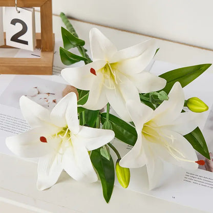 White lilies with green leaves on a magazine page