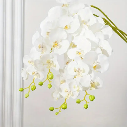 White orchid flowers with green stems on a light gray background
