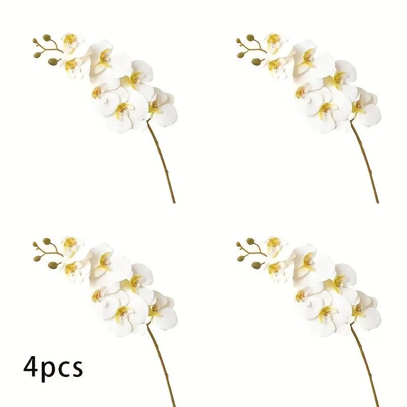 Four white orchid flowers with yellow centers on a white background, labeled &