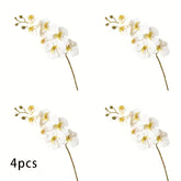 Four white orchid flowers with yellow centers on a white background, labeled &