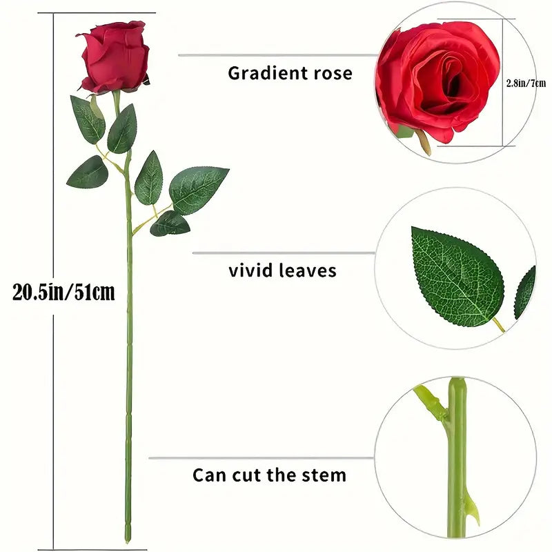Red rose with measurements and details on stem, leaves, and gradient effect.
