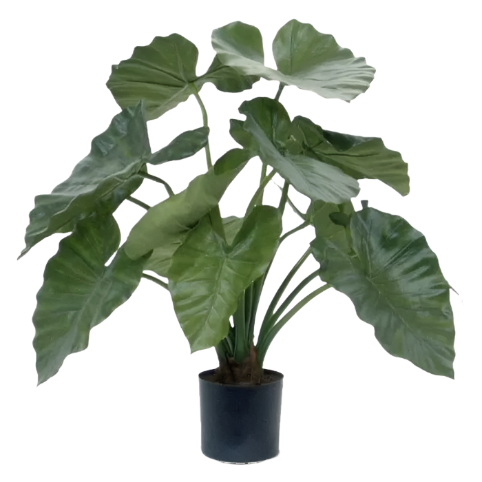 Elegant 2 Ft artificial Elephant Ear plant with deep green foliage
