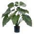 Elegant 2 Ft artificial Elephant Ear plant with deep green foliage
