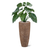 Vibrant 2 Ft faux Alocasia for indoor and outdoor decoration
