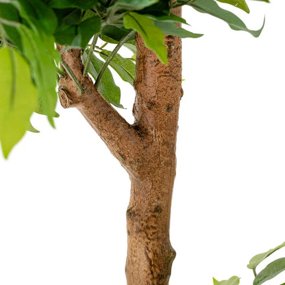 Waterproof and UV-resistant faux ficus plant for home and office styling.