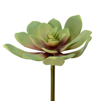 Faux Succulent Plants (Set of 12) – Mini Artificial Greenery for Home, Office, Terrariums &amp; DIY