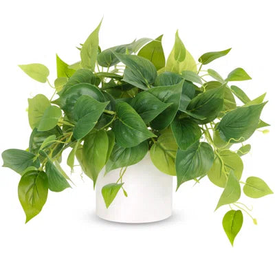 2 Ft Faux Foliage Plant in Pot – Lush Artificial Leaf Vine for Shelf, Desk &amp; Room