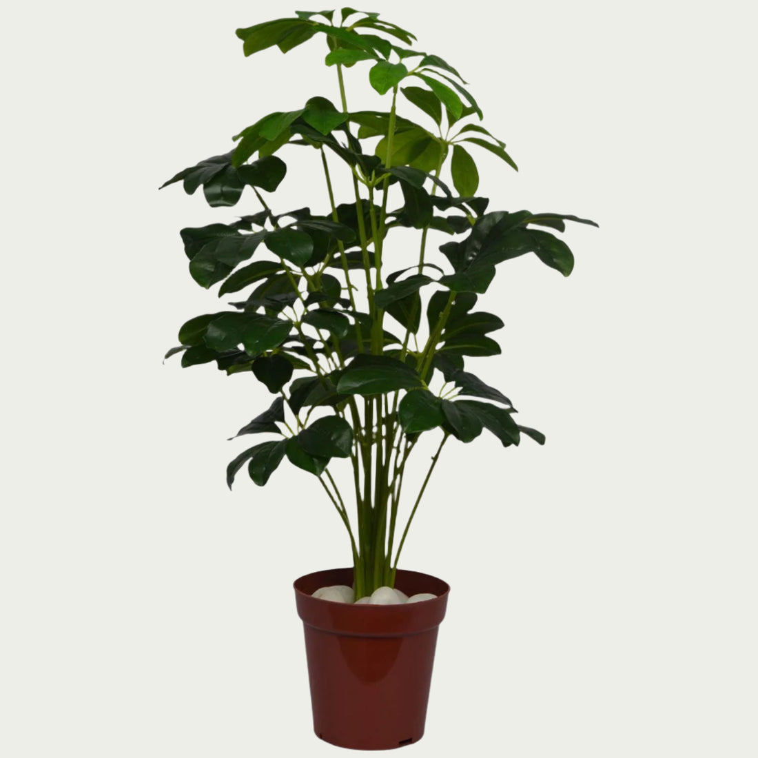Decorative shot highlighting the unique design of 2 Ft Baby Shikka Shefflora Plant Realistic Nature-Inspired Shrub – Chic Artificial Plant to Elevate Any Space – Shop Luxiplant.