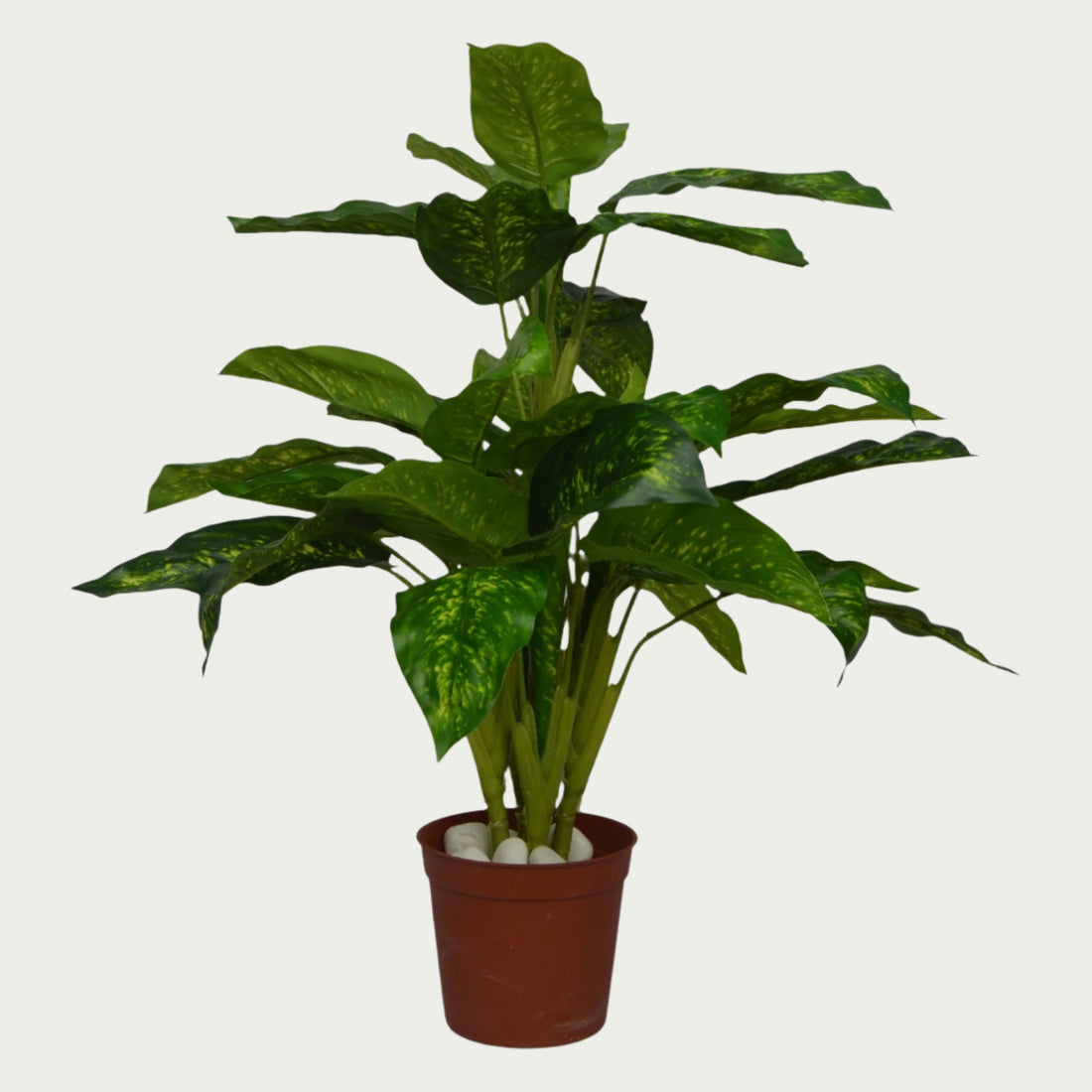 2 Ft Artificial Green Dieffenbachia – Faux Green Plant as part of a decorative indoor arrangement