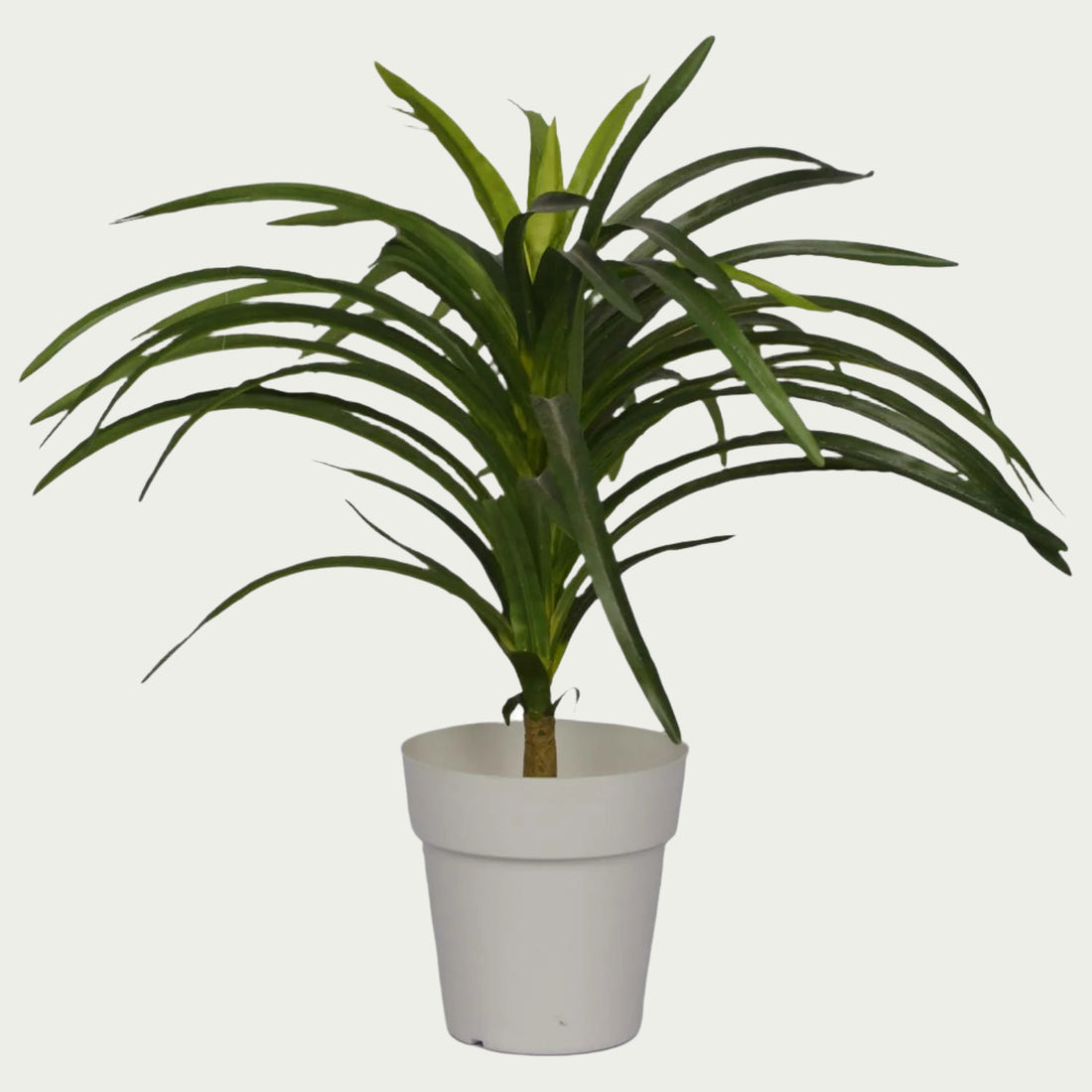 1 Ft Artificial Dracaena 12 – Faux Green Plant set on a living room table