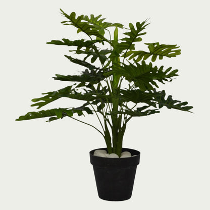 Eye-catching product image of 2 Ft Philodendron Bush Vibrant Faux Desk Foliage – Realistic Touch for Modern Interiors – Shop Luxiplant, ideal for indoor settings.