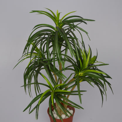 3 Ft Artificial Dracaena Plant – Compact Faux Greenery with Realistic Variegated Leaves for Indoor Home, Office &amp; Tabletop Décor