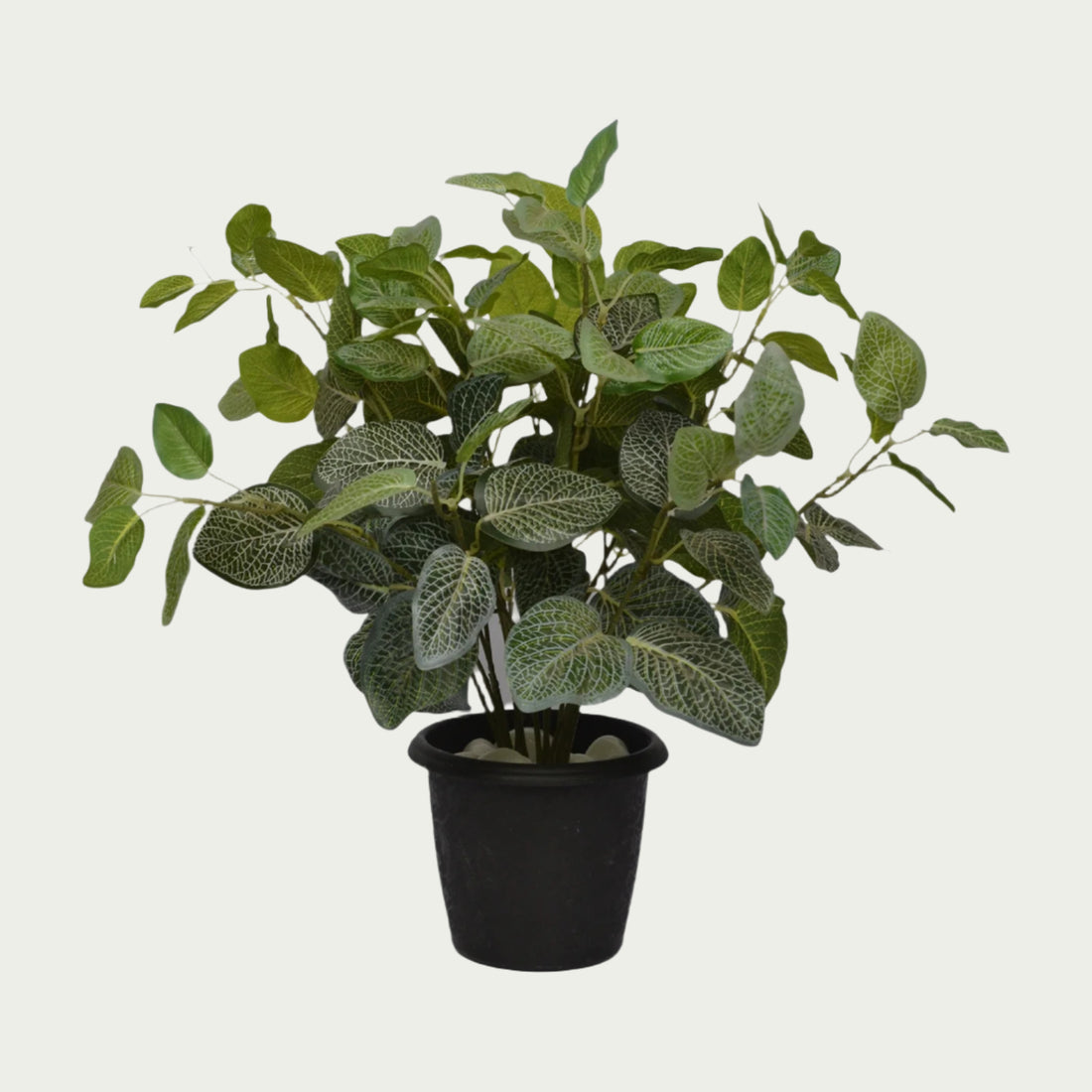 Stylish 2 Ft Fittonia Bush Realistic Nature-Inspired Shrub – Elegant Faux Greenery for Any Setting – Shop Luxiplant featured in a modern interior setup.