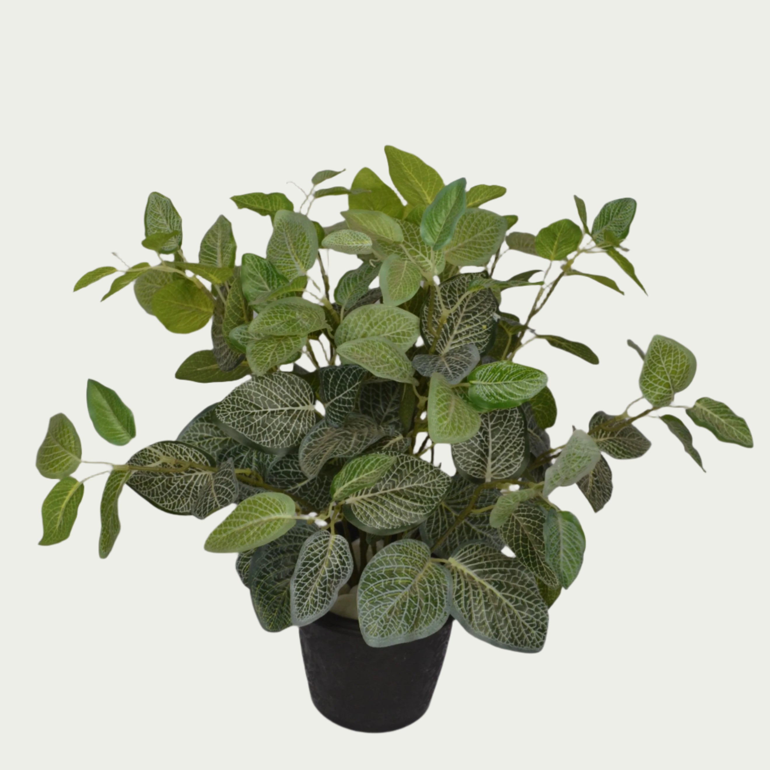 Indoor ambiance created with 2 Ft Fittonia Bush Realistic Nature-Inspired Shrub – Elegant Faux Greenery for Any Setting – Shop Luxiplant – elegant and lush.
