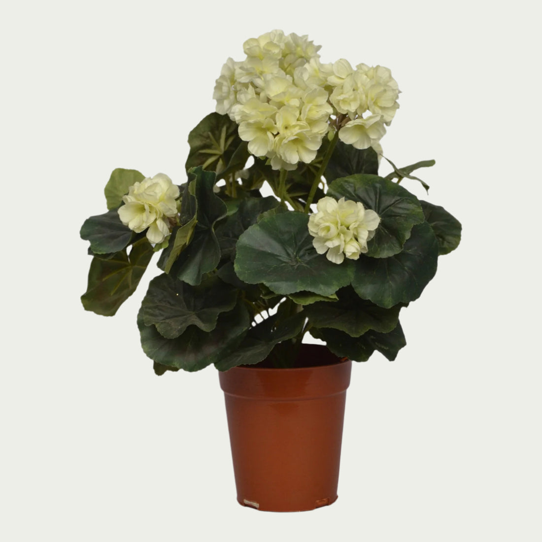 1 Ft White Geranium Bush Stylish Faux Patio Centerpiece – Realistic Touch for Modern Interiors – Shop Luxiplant arranged aesthetically, adding a tropical flair to any room.