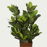 2 Ft Artificial Green Croton Bush 2975 – Faux Green Plant close-up highlighting realistic details