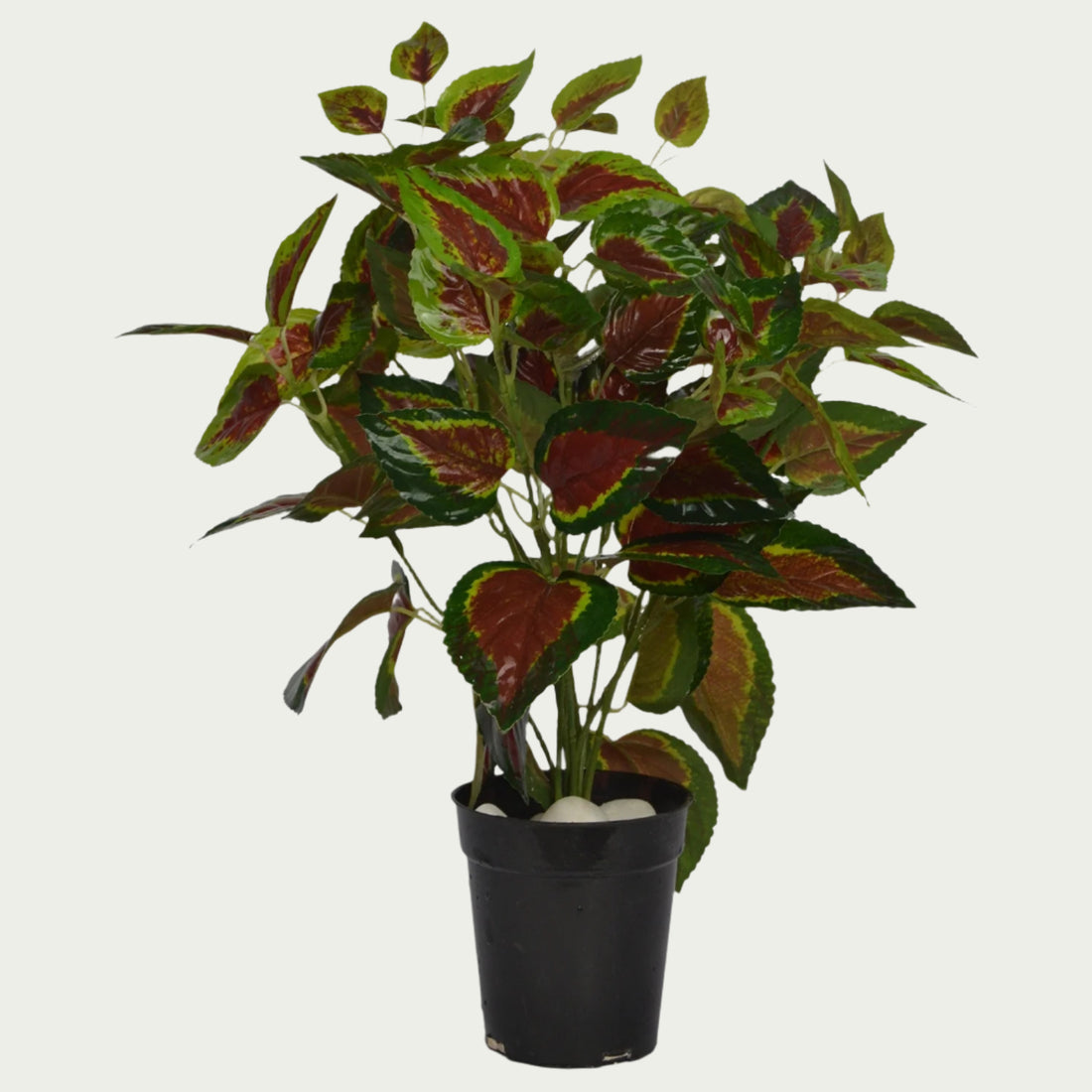 2 Ft Artificial Coleas Mini Bush 20 – Faux Green Plant close-up highlighting realistic details