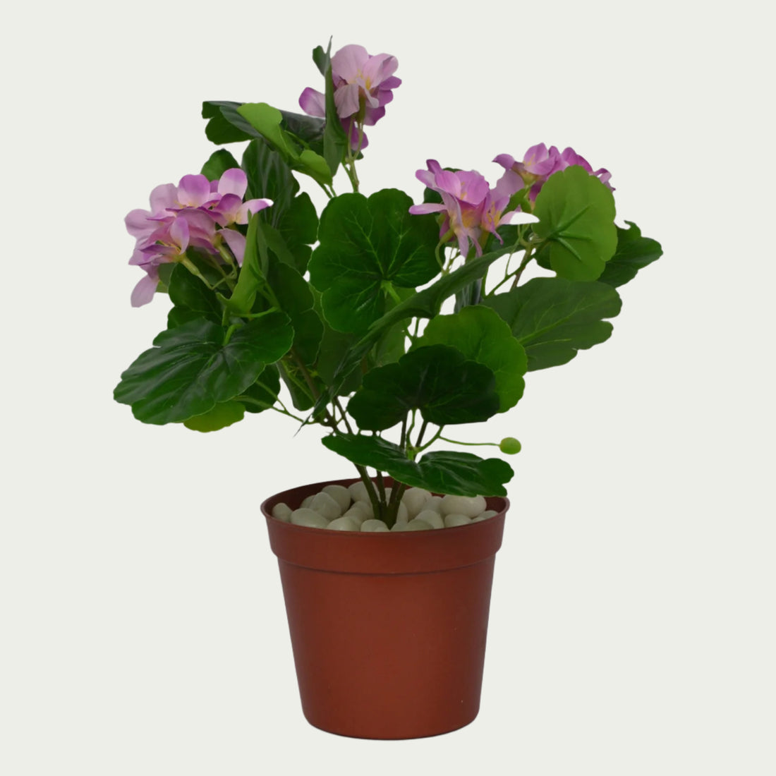 Decorative shot highlighting the unique design of 1 Ft Geranium Flower Bush Indoor Tropical Accent Plant – Maintenance-Free Natural Look Accent – Shop Luxiplant.