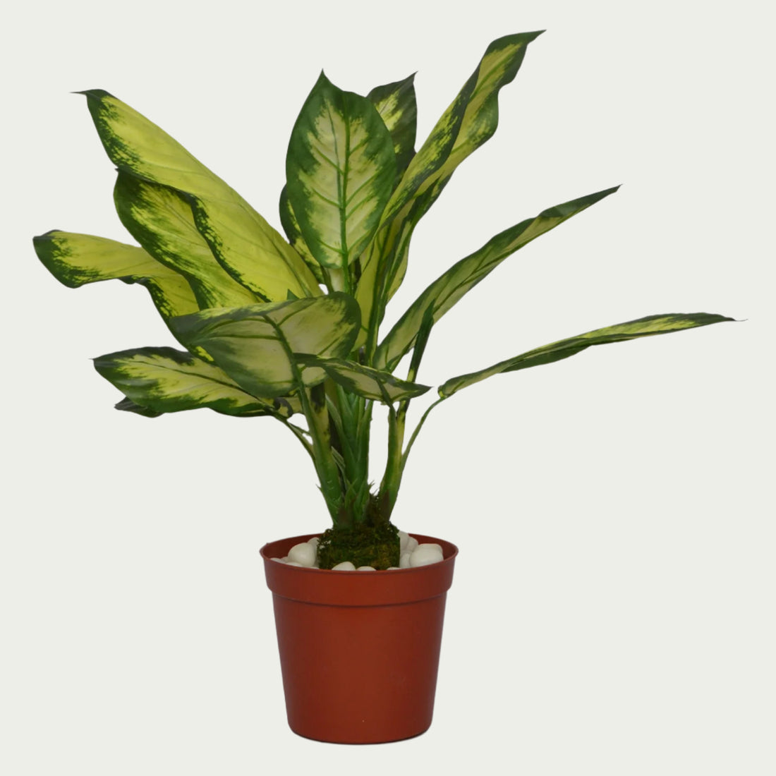 2 Ft Artificial Dieffenbachia Bush 18 – Faux Green Plant as part of a decorative indoor arrangement