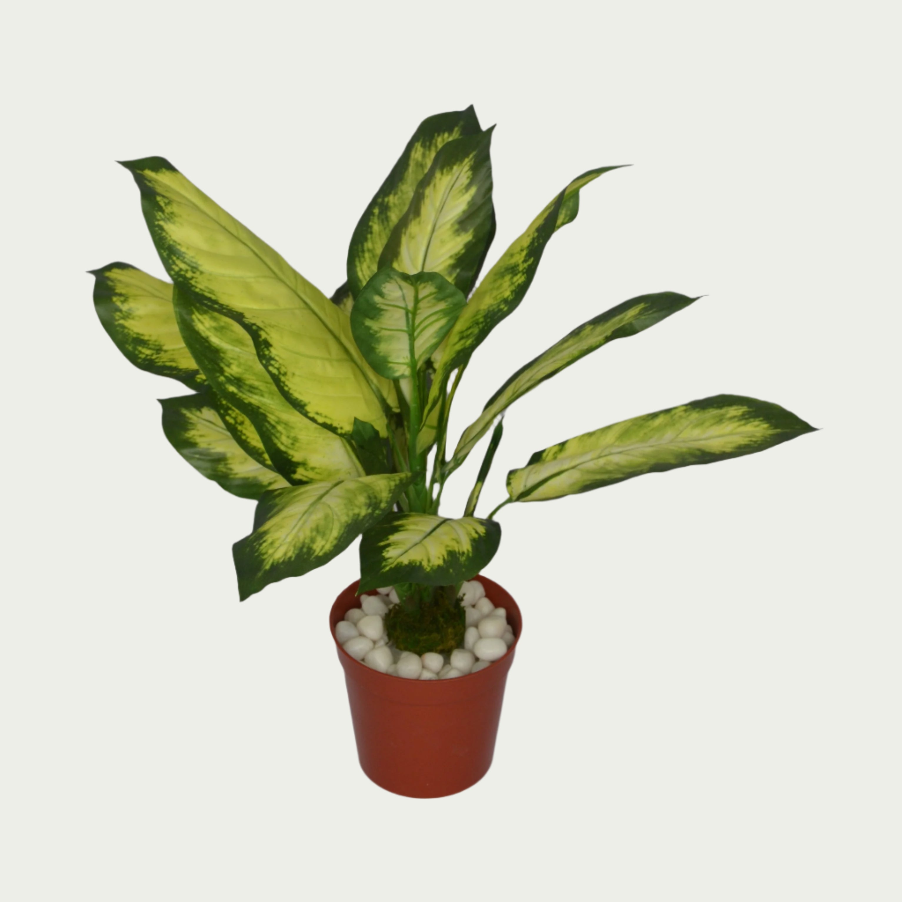 2 Ft Artificial Dieffenbachia Bush 18 – Faux Green Plant set on a living room table