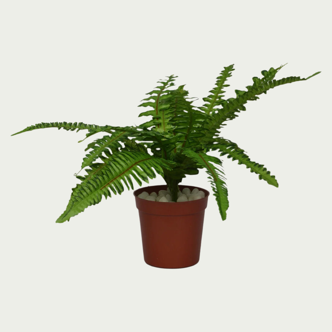 Close-up image of 1 Ft Medium Fern Bush Decorative Faux Leaf Arrangement – Maintenance-Free Natural Look Accent – Shop Luxiplant – perfect for home decoration.
