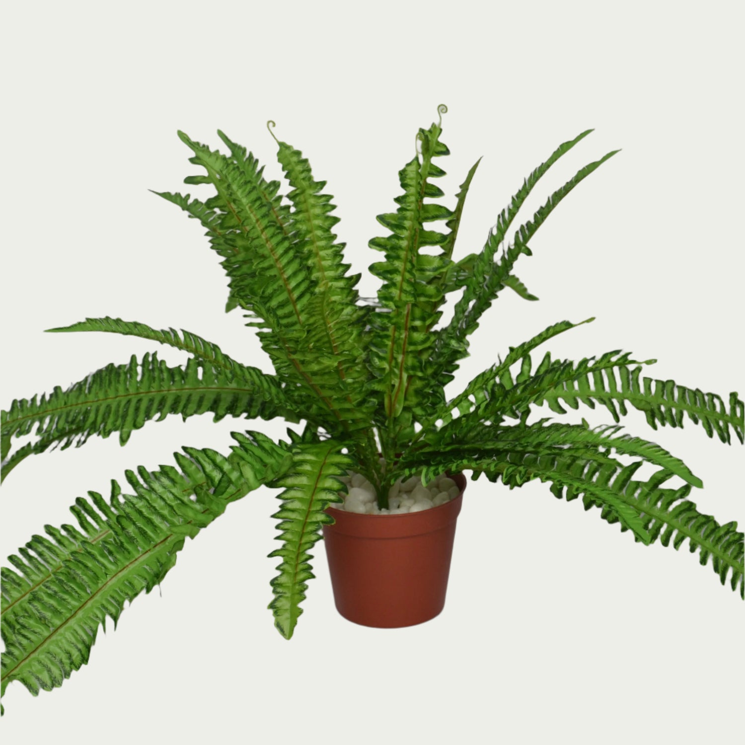 Indoor ambiance created with 1 Ft Big Fern Bush Premium Decorative Green Bush – Elegant Faux Greenery for Any Setting – Shop Luxiplant – elegant and lush.