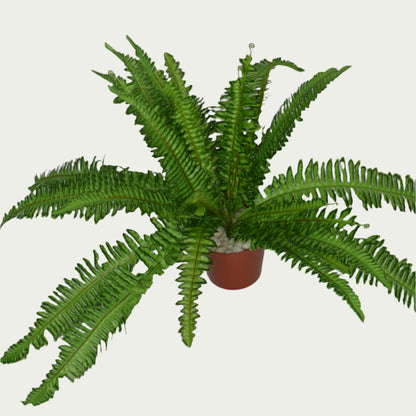 Eye-catching product image of 1 Ft Big Fern Bush Premium Decorative Green Bush – Elegant Faux Greenery for Any Setting – Shop Luxiplant, ideal for indoor settings.