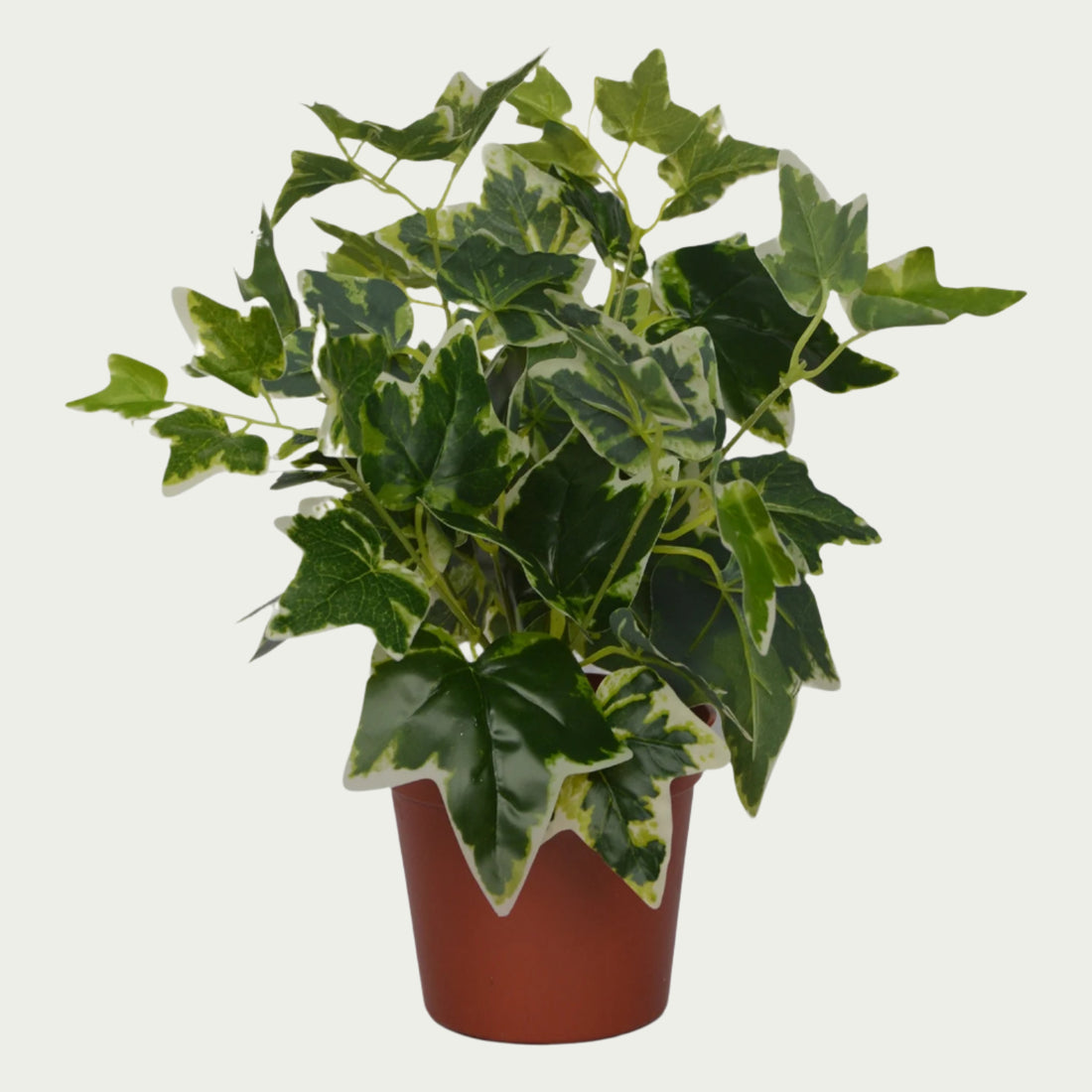 1 Ft Ivy Bush Elegant Synthetic Home Plant – Elegant Faux Greenery for Any Setting – Shop Luxiplant arranged aesthetically, adding a tropical flair to any room.