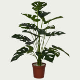 Stylish 2 Ft Monstera Bush Realistic Nature-Inspired Shrub – Maintenance-Free Natural Look Accent – Shop Luxiplant featured in a modern interior setup.