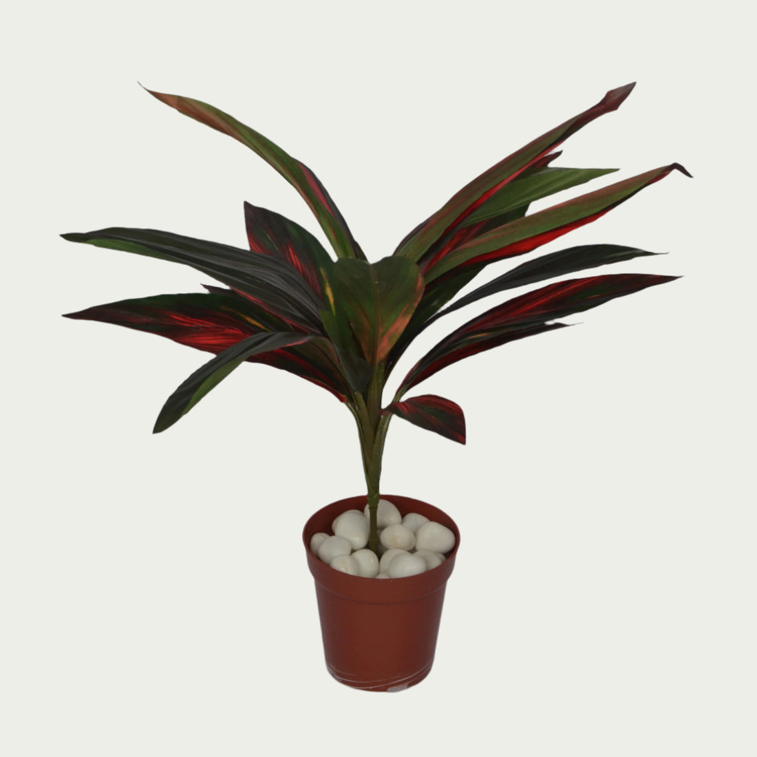 2 Ft Artificial Dracaena Red Leaf Bunch 20 – Faux Green Plant as part of a decorative indoor arrangement