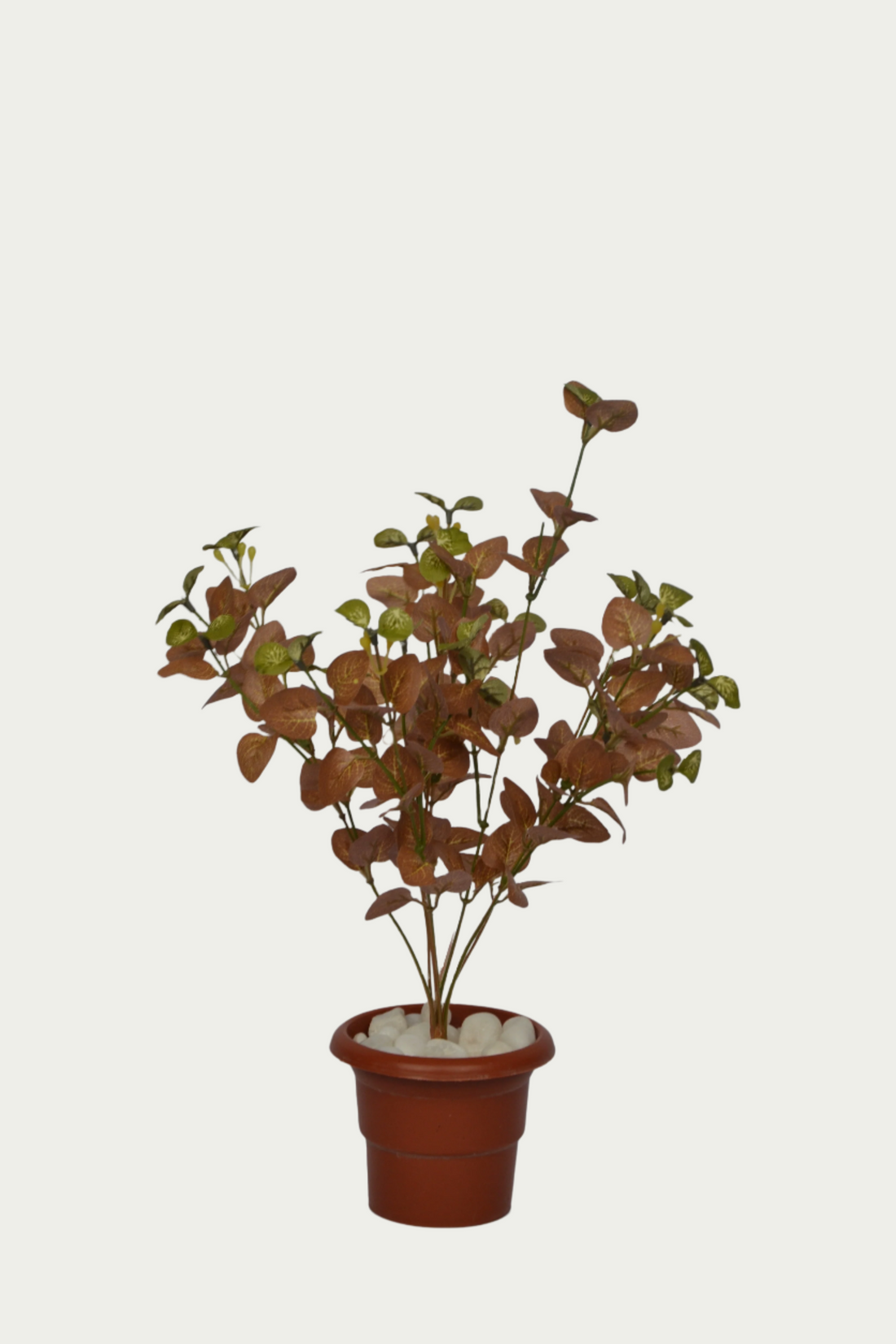 1 Ft Artificial Carpinteria Bush 5 – Faux Green Plant placed in a stylish planter