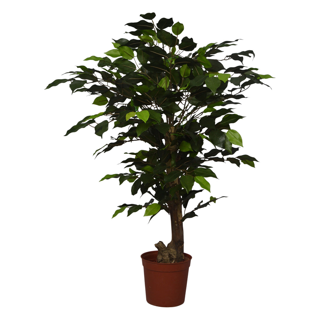 2 Ft Artificial Ficus Plant – Compact Faux Greenery with Realistic Leaves for Indoor Home, Office &amp; Shelf Décor