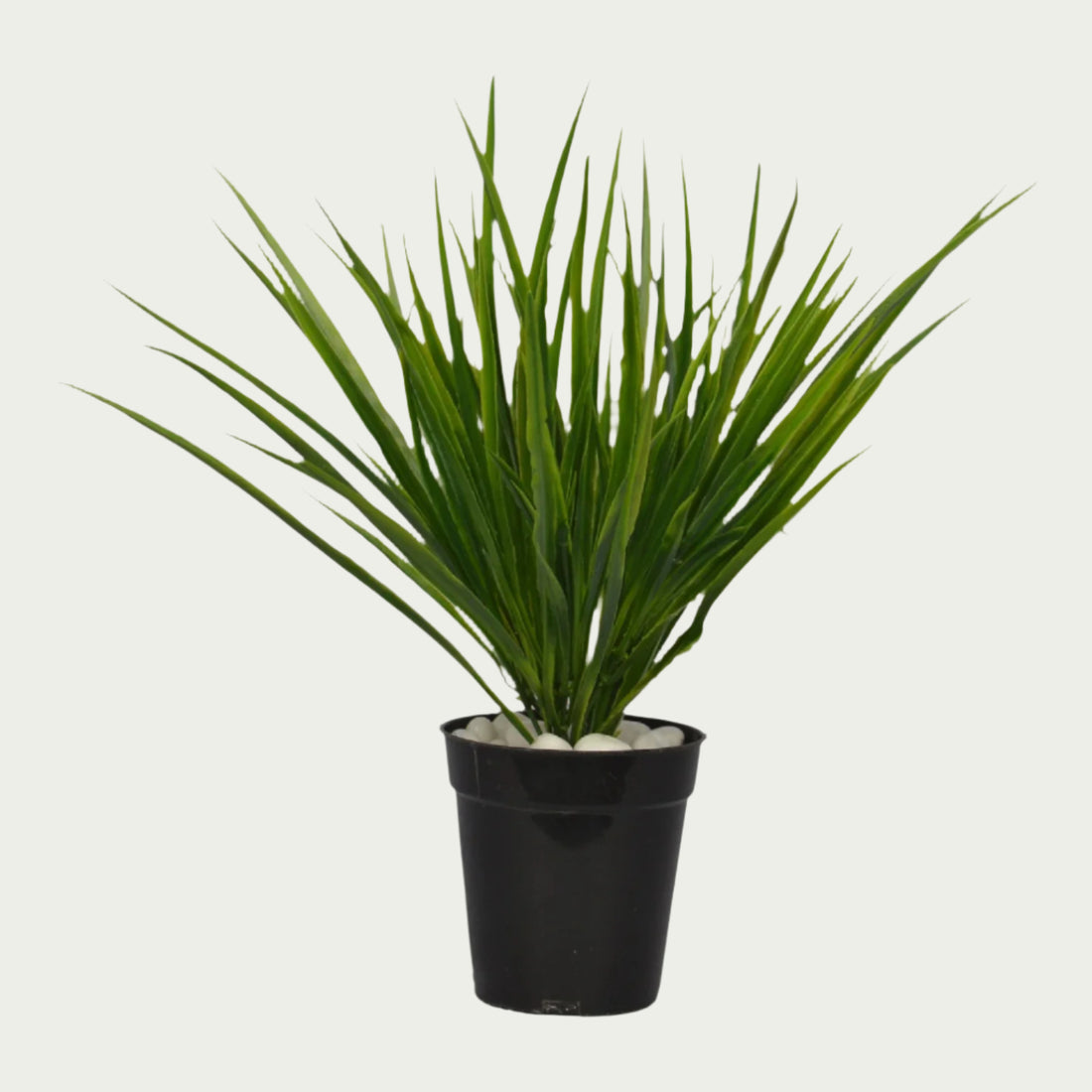 Stylish 1 Ft Grass Bush Contemporary Lush Green Accent – Vibrant Decorative Plant for Home or Office – Shop Luxiplant featured in a modern interior setup.